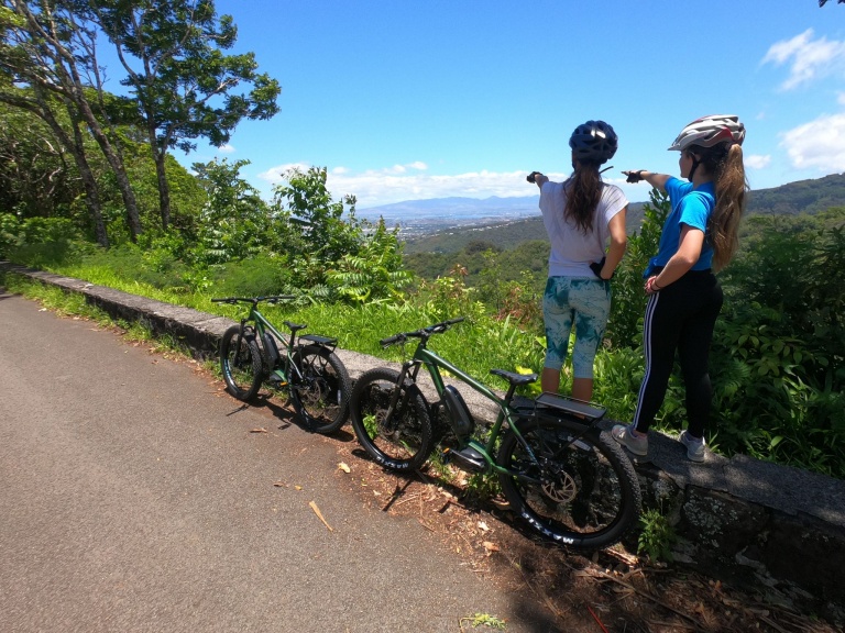 Ebike View Pointer