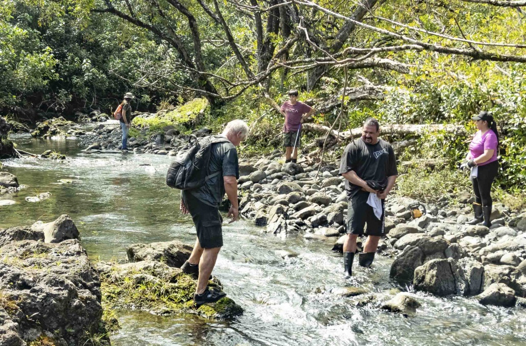 Road to Hana Waterfall Hike and Visitors Maui