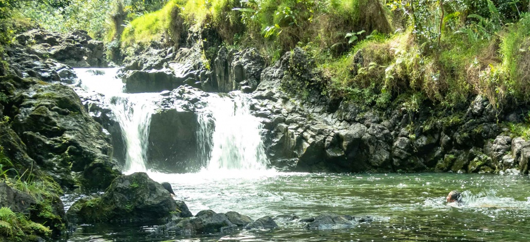 Hawaian Style Road to Hana Waterfall and Swim Maui