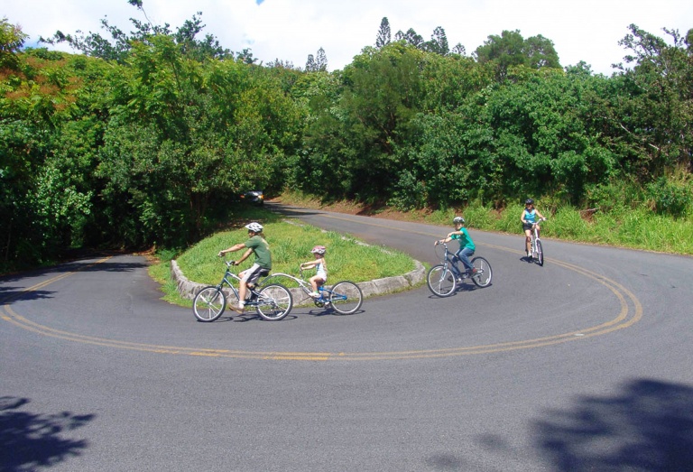 Bike Hawaii Downhill Bike Family
