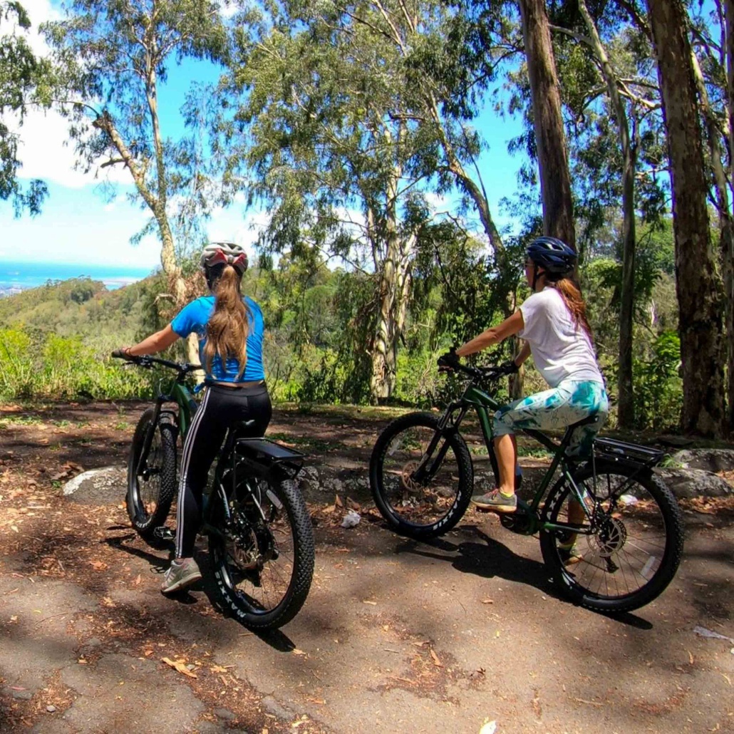 Bikehawaii Honolulu Rainforeste Bike Tour Visitors Sightseeing