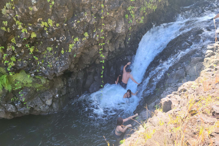 Exclusive Waterfall Pool And Swim