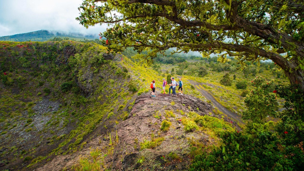 Explore The Hualalai Volcano Hidden Craters Hike Tour