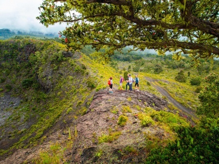 Explore The Hualalai Volcano Hidden Craters Hike Tour