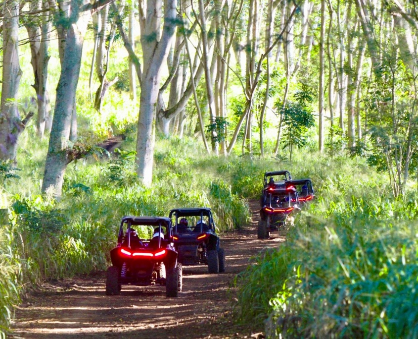 join us on a beautiful guided historical tour through the hidden trails of koloas countryside kauai atv hawaii