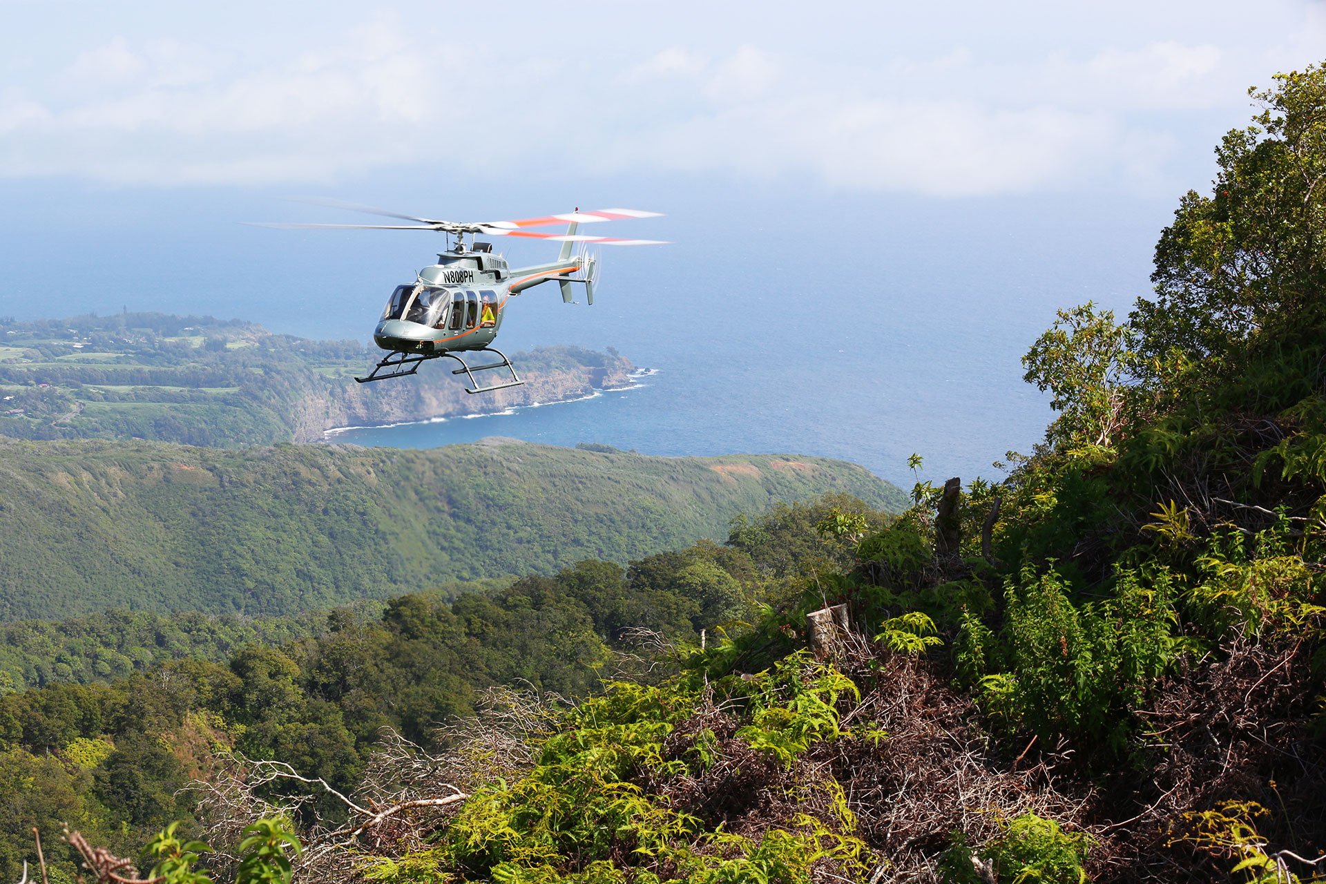 Kohala Mountain Landing