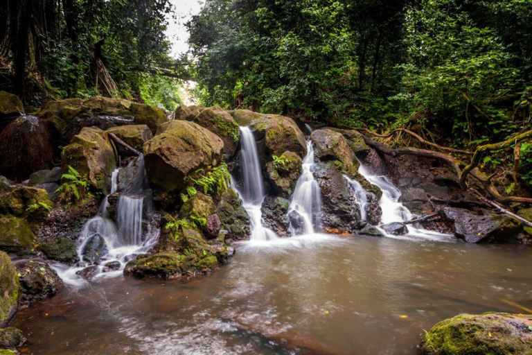 Oahu Photography Tours Waterfalls