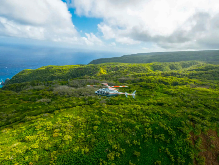 Paradisecopters Doors Off Kohala Kamehameha Flying Throug