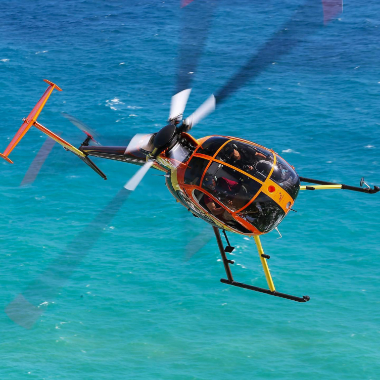 Paradisecopters Magnum Experience Professional Flight