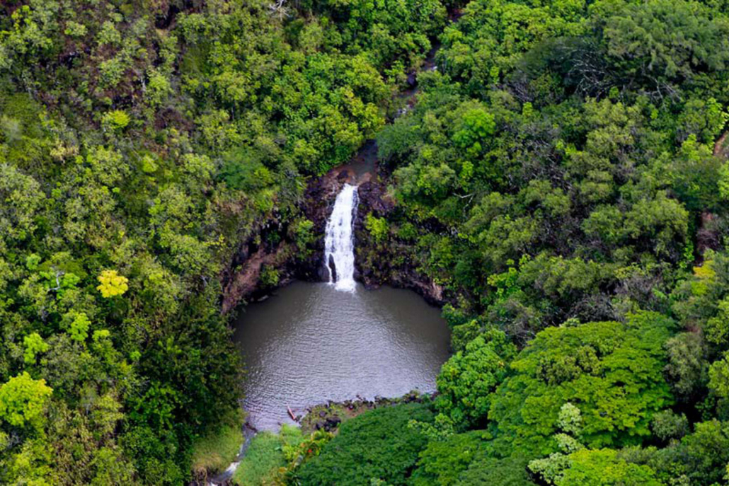 Paradisecopters Valleys And Waterfall Explorer From Turtle Bay Tour Short North Shore Trip