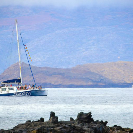 Sailtrilogy Catamaran Product