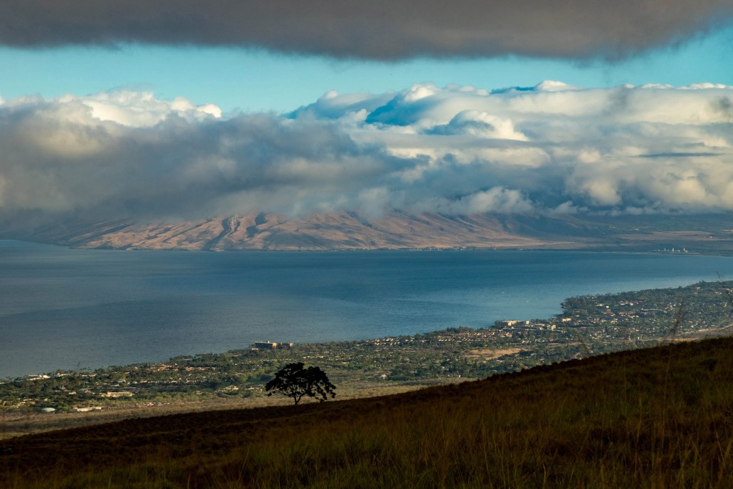 Ulupalakua Views Of Kihei And West Maui Mountains