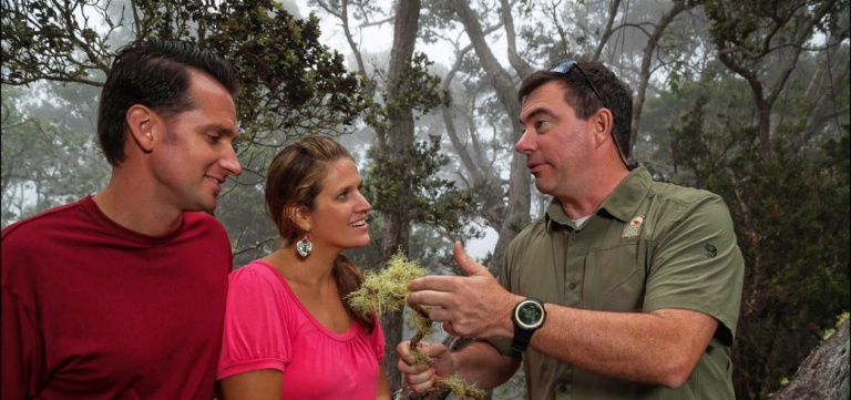 Visitors And The Native Plants At The Hualalai Volcano