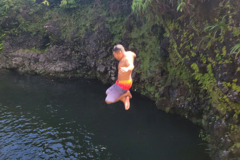 Waterfall Pool And Swim