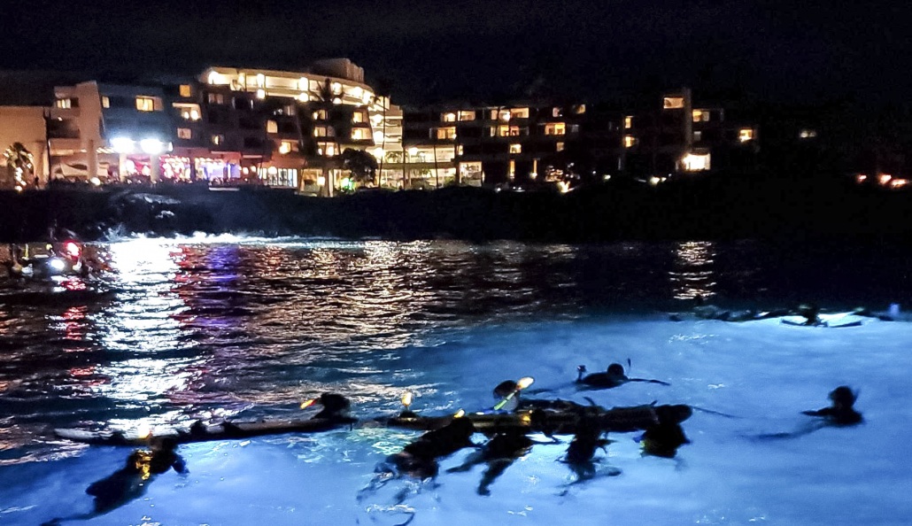 Manta Ray Night Scene Dolphin Discoveries Big Island