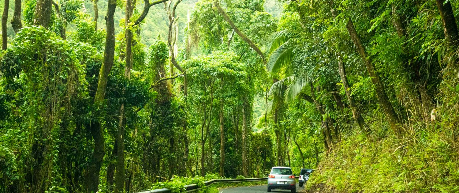 beautiful pic of hana highway maui island