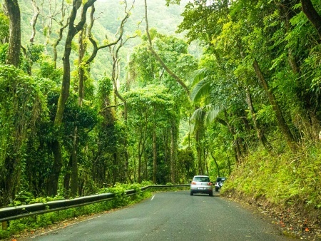 beautiful pic of hana highway maui island