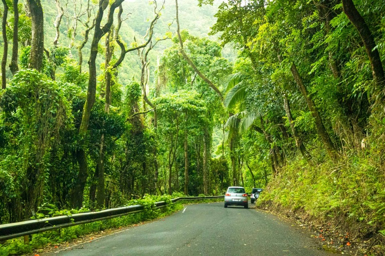 beautiful pic of hana highway maui island