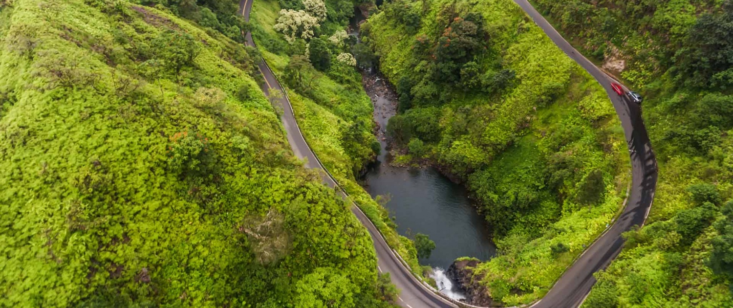 hana highway is one of the most scenic drives in the world maui island