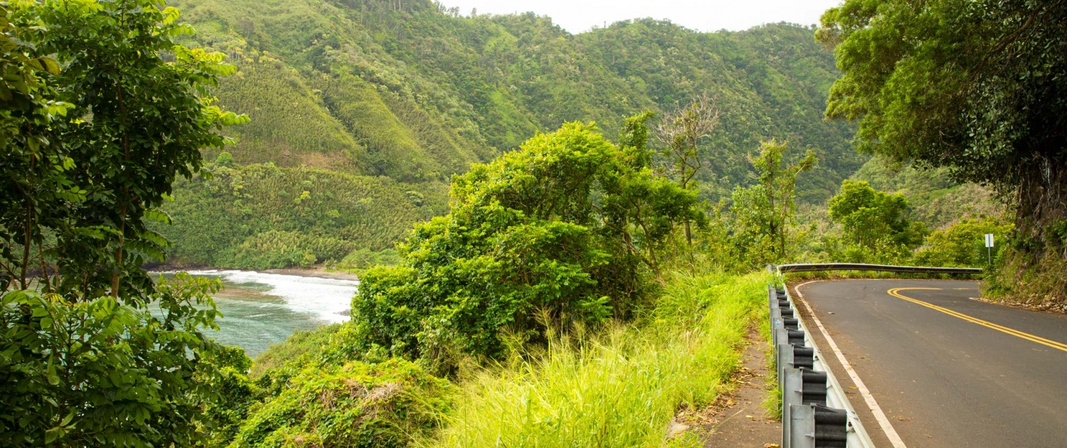hana highway scenic route maui island