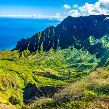 Kauai Kalepa Ridge Hiking Feature