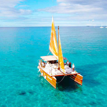 Gorgeous Shot Of Our Waa Kaulua Kamoauli Product