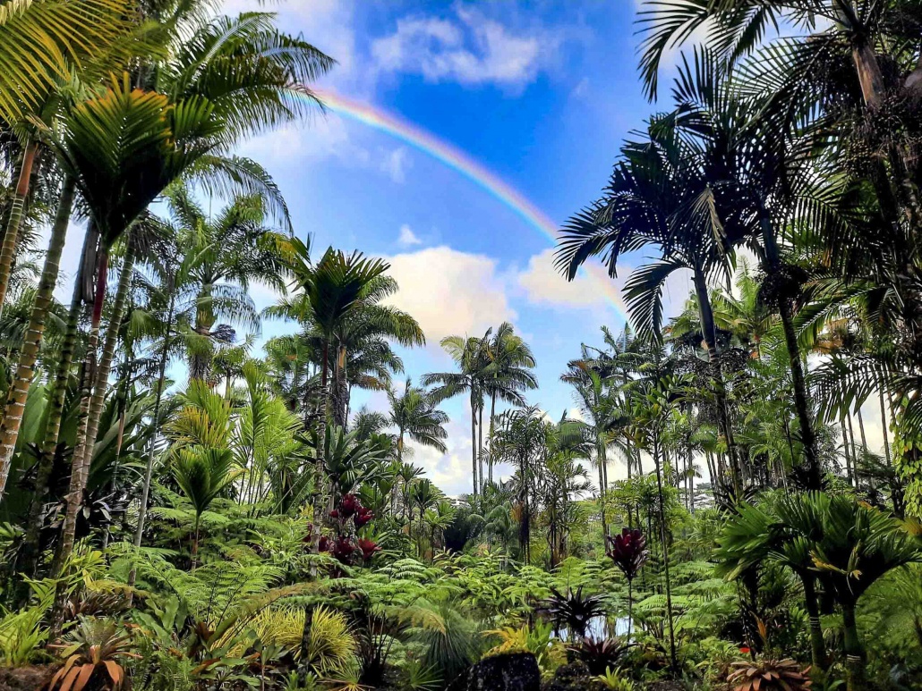 Casa de Palmas Hilo Big island Garden rainbow