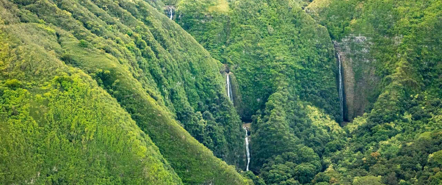 Helicopter West Maui Waterfalls