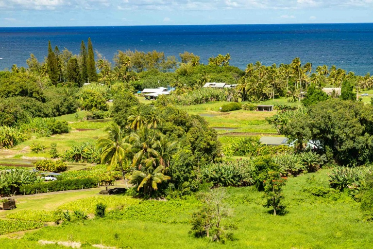 Keanae Peninsula Overlook Road to Hana Maui