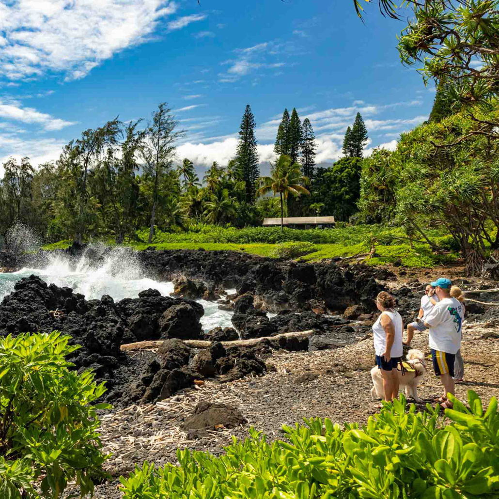 Keanae Peninsula Waves And Visitors Road To Hana Maui 
