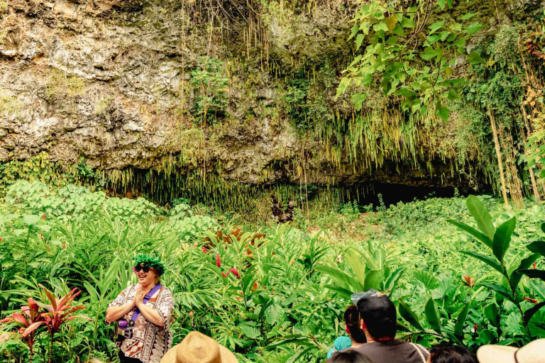 Wailua River Fern Grotto Guide Kauai Feature