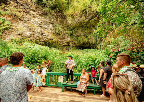 Wailua River Fern Grotto Guide Kauai Slider
