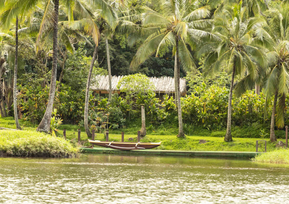 Wailua River Smith Family Boat Cruise Hale And Canoe Kauai 