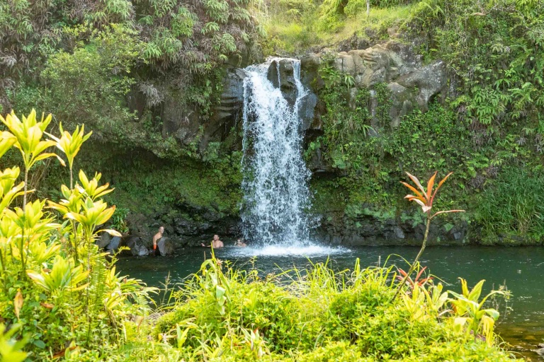 Waterfall Swim Road to Hana Maui Waterfall Swim Road to Hana Maui