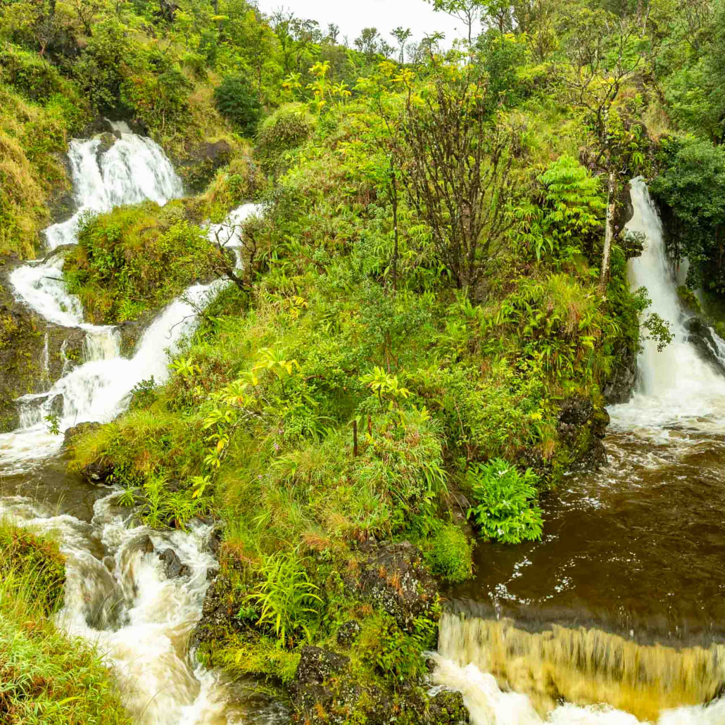 Waterfall Valley Road To Hana Maui 