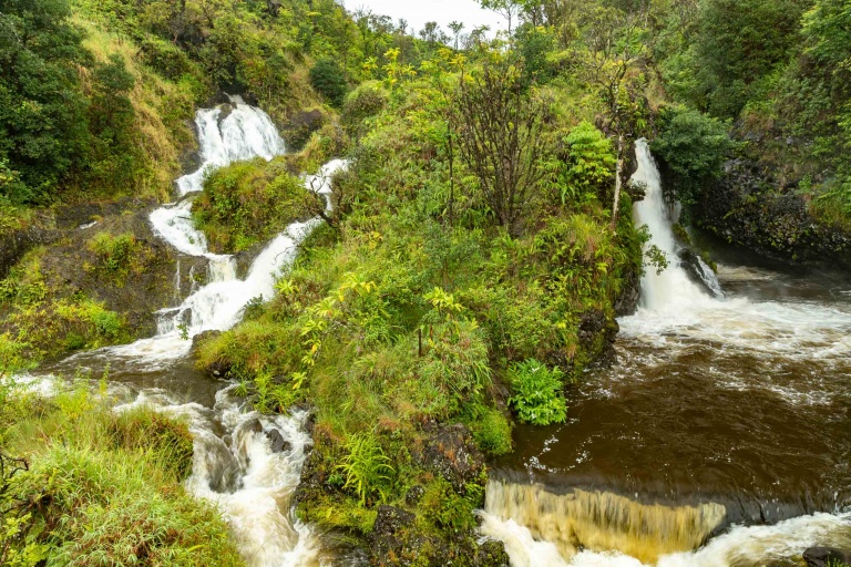Waterfall Valley Road to Hana Maui