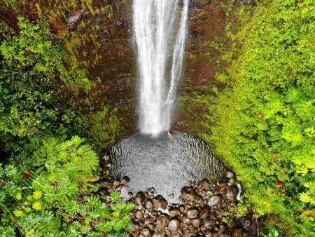 aerial view of manoa falls in oahu