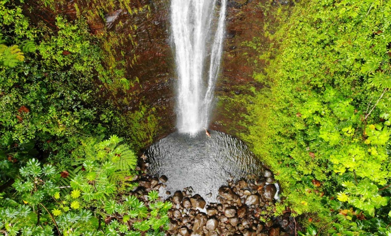 aerial view of manoa falls in oahu