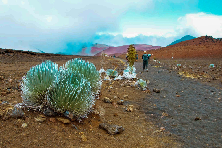 Circle Island Maui Helicopter Tour Haleakala Crater With Trails In Haleakala National Park On Maui Island Hawaii