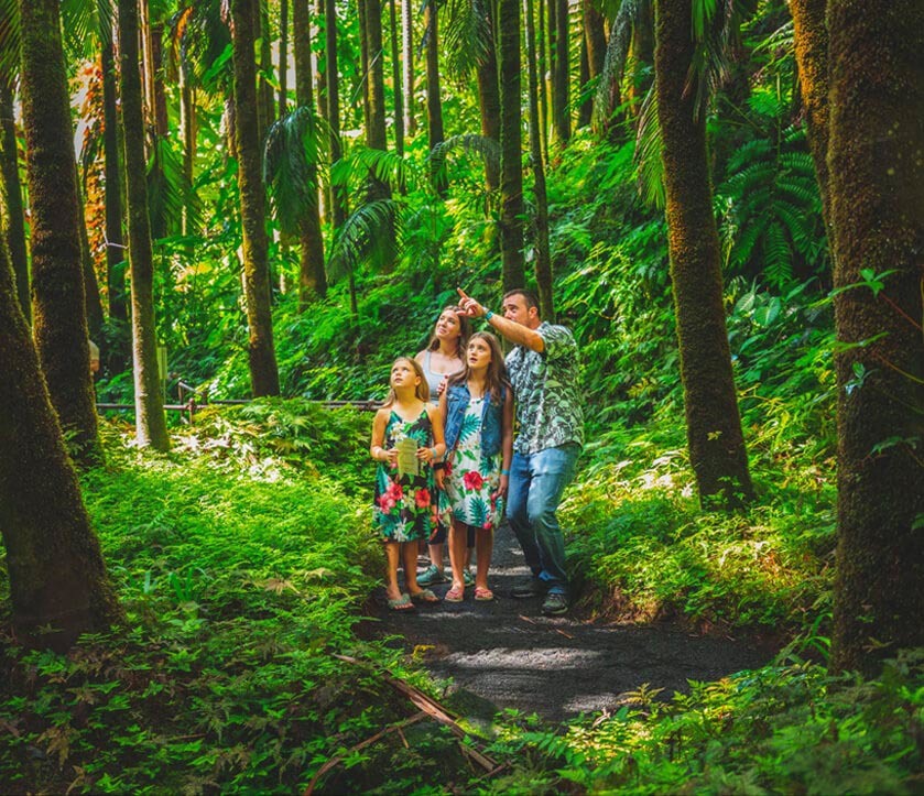 family in hawaii tropical bioreserve garden pic