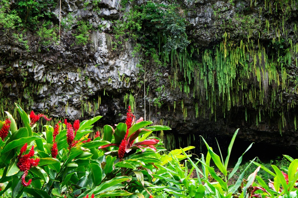 fern grotto hawaii shutterstock