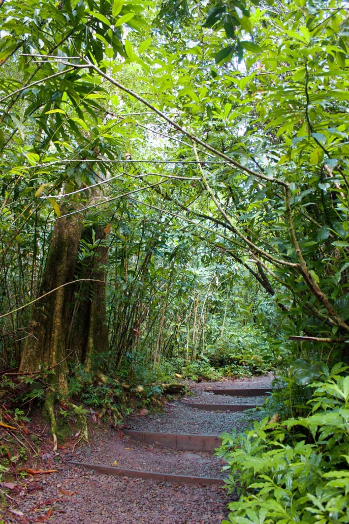 hiking trails kaimana tours