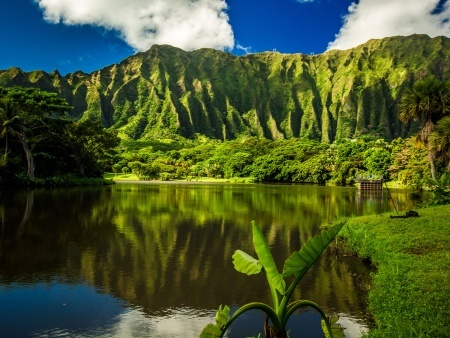 hoomaluhia botanical garden in kaneohe oahu shutterstock