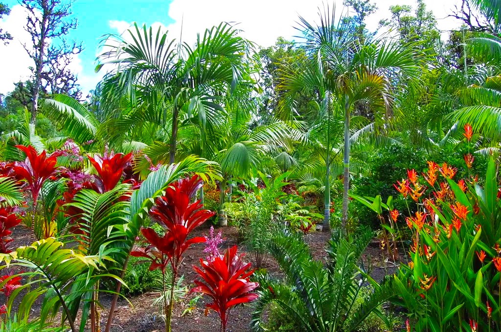 jd andersens awesome hawaiian garden