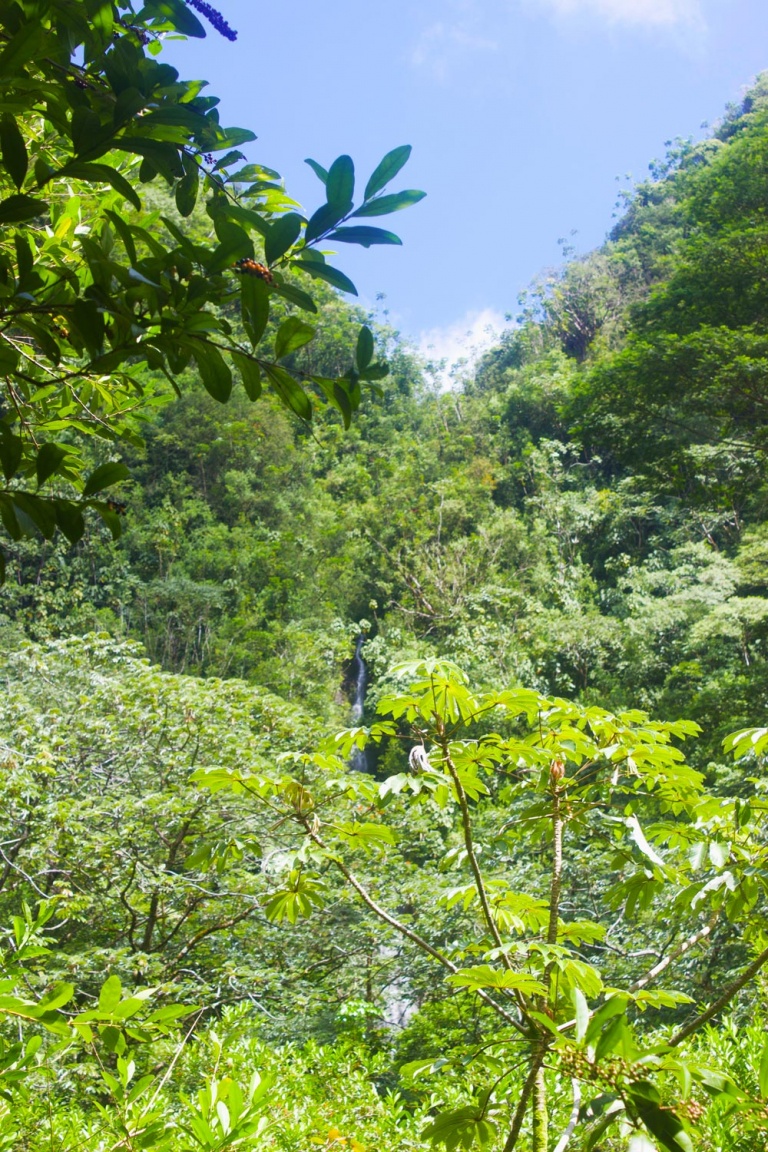 kaimana tours oahu the water cascades down from the mountain