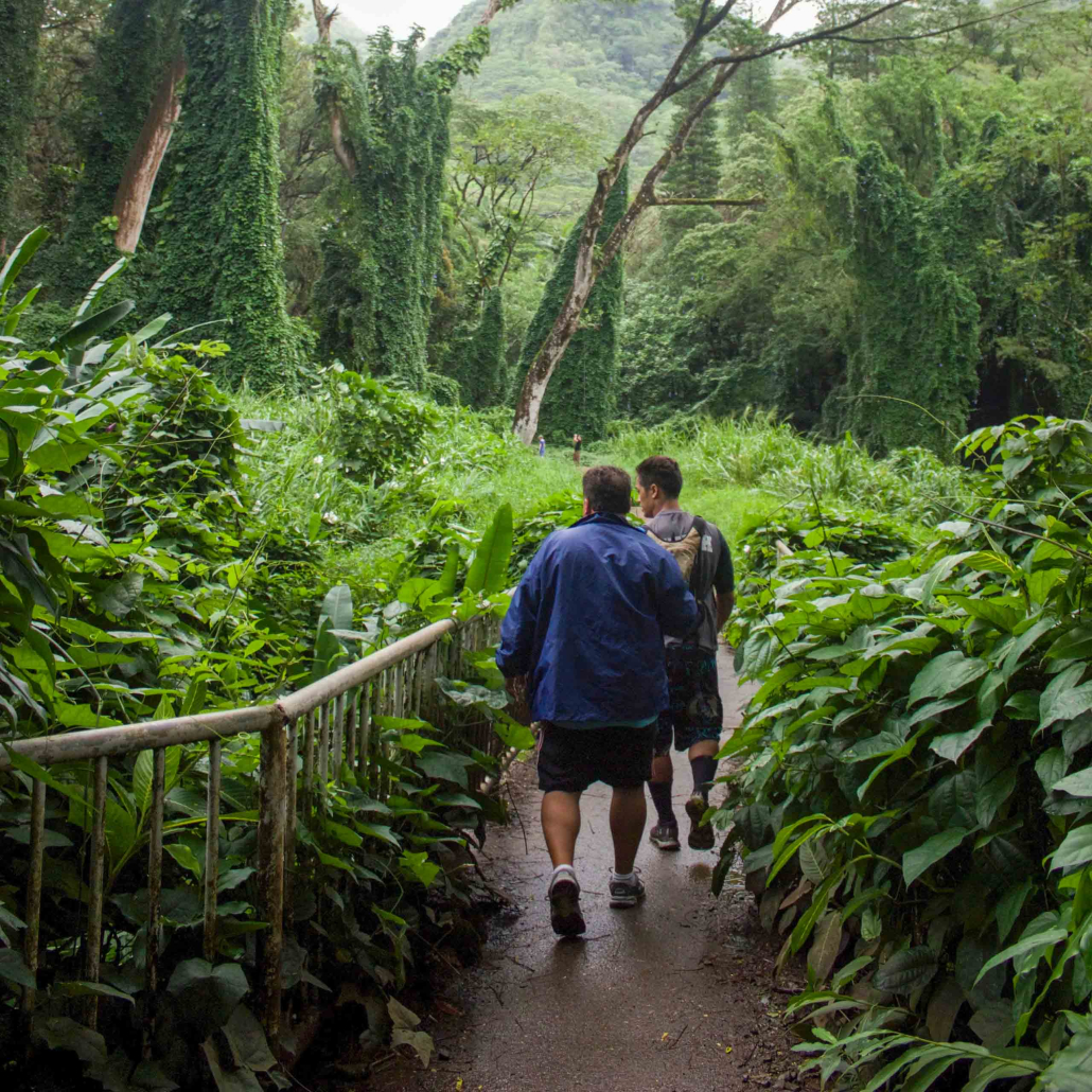 Kaimanatours Rainforest Waterfall And Movie Visitors Walking