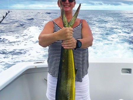 kona cowboy sport fishing mahi mahi