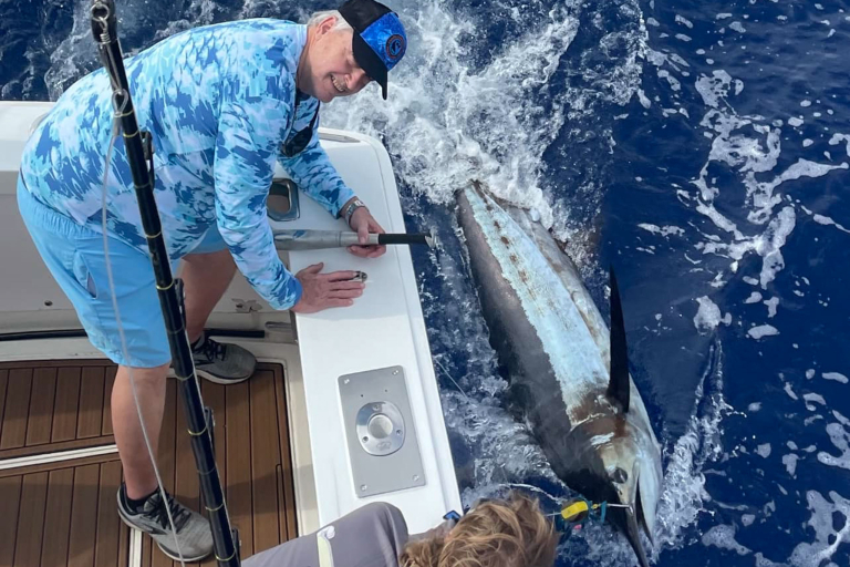 Konacowboysportfishing Kona Fishing Blue Marlin Catching