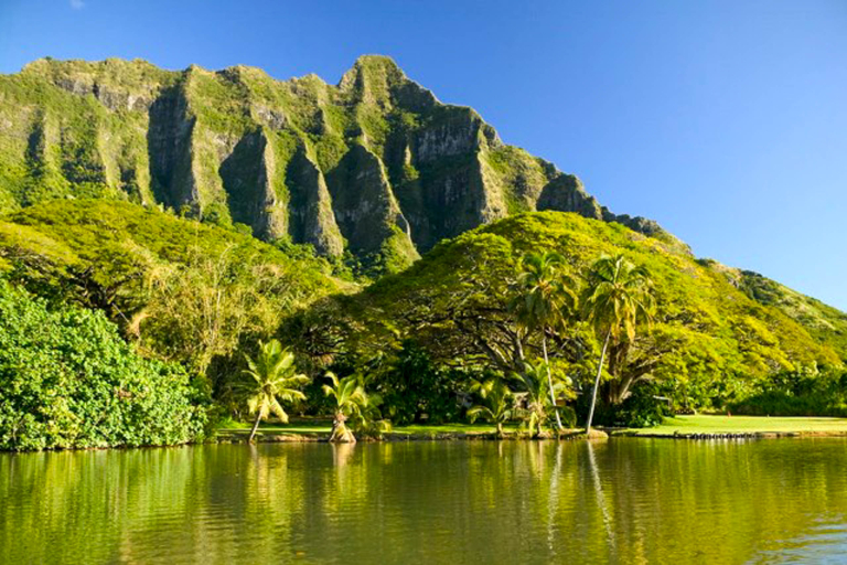 Kualoa Ocean Voyage Adventure Tour Hawaiian Aquaculture Fishpond