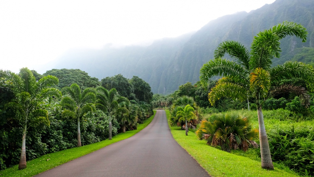 road in the tropical hoomaluhia botanical garden of oahu shutterstock